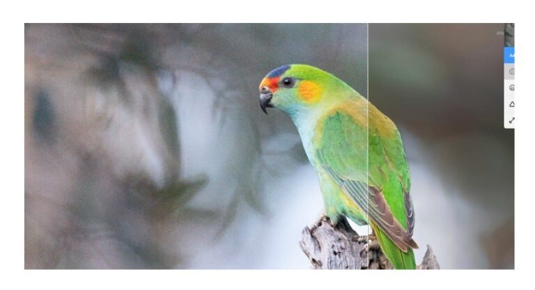 ​Topaz Photo AI: Key Features, Benefits, & Use Cases I TheAIPedia