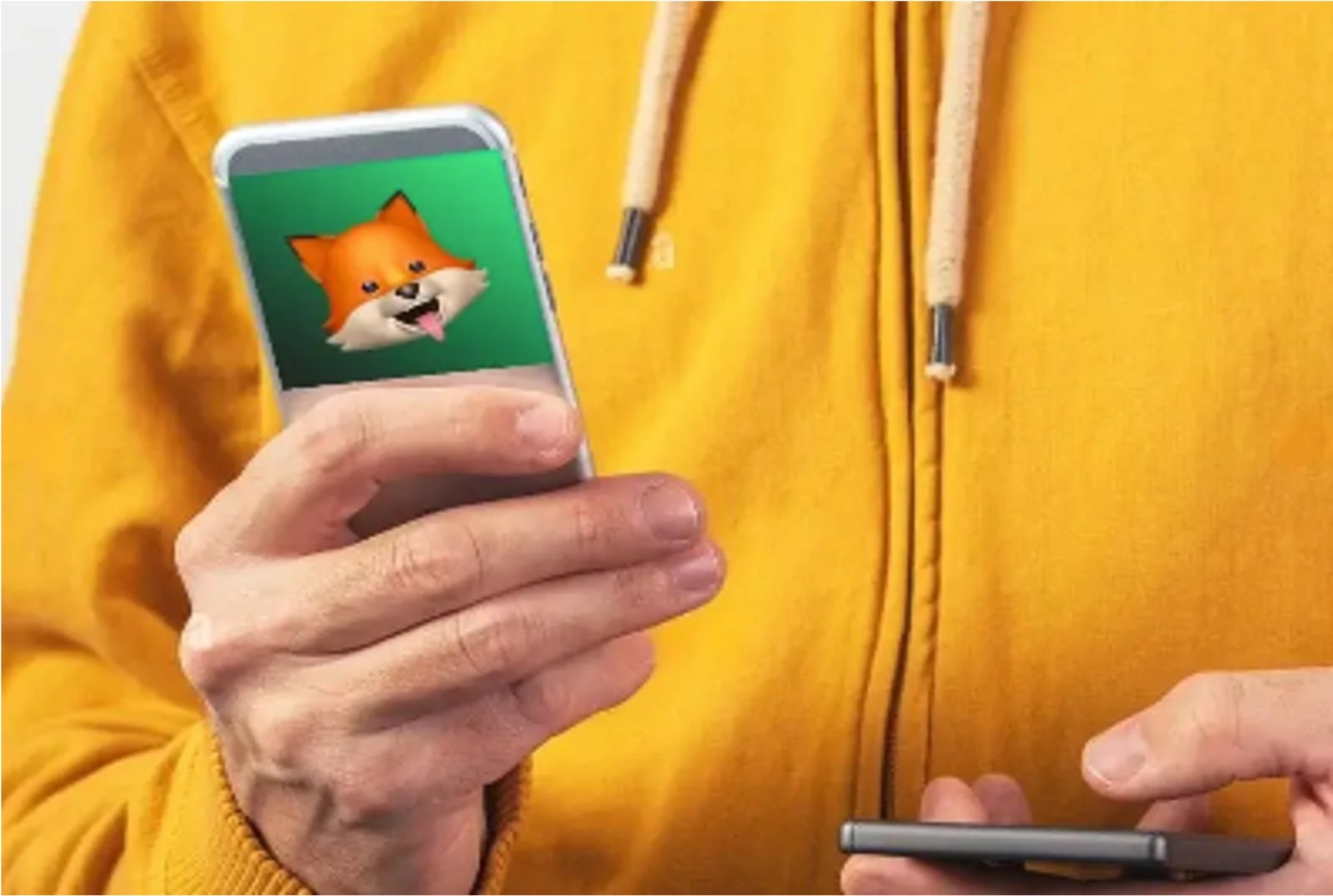 EchoFox